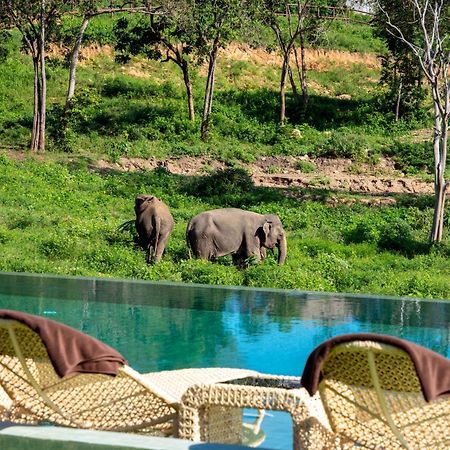 Wild Cottages Elephant Sanctuary Resort Amphoe Koksamui Exteriör bild