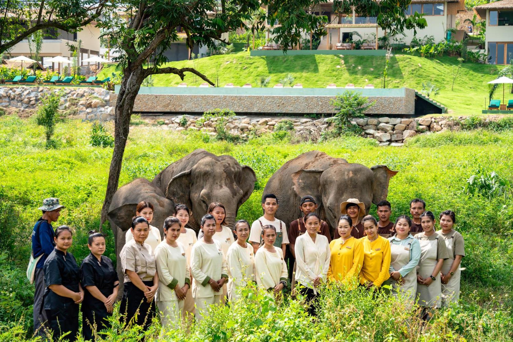 Wild Cottages Elephant Sanctuary Resort Amphoe Koksamui Exteriör bild
