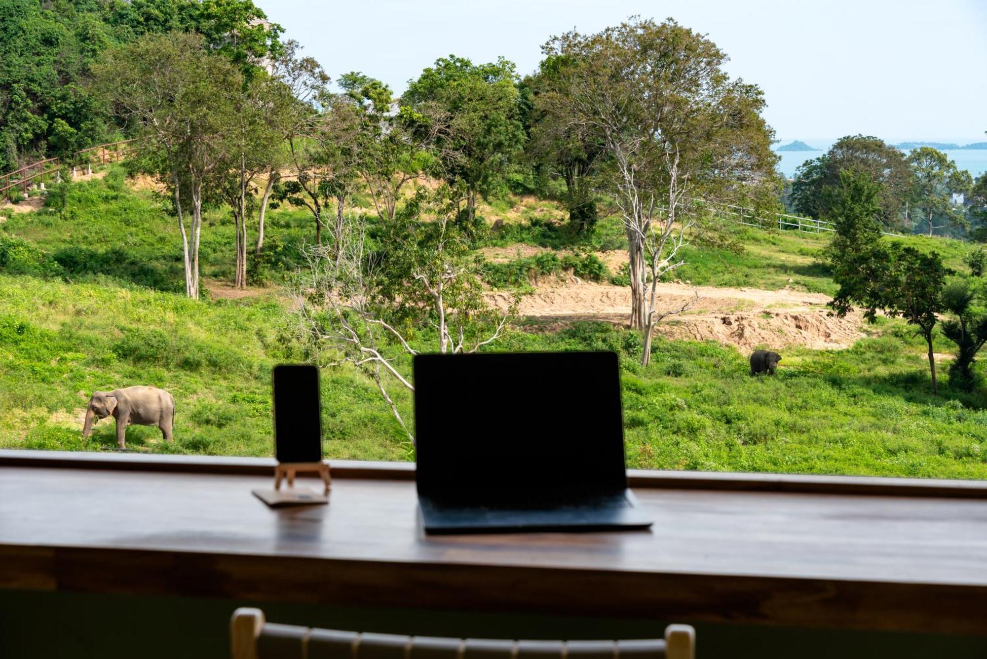 Wild Cottages Elephant Sanctuary Resort Amphoe Koksamui Exteriör bild