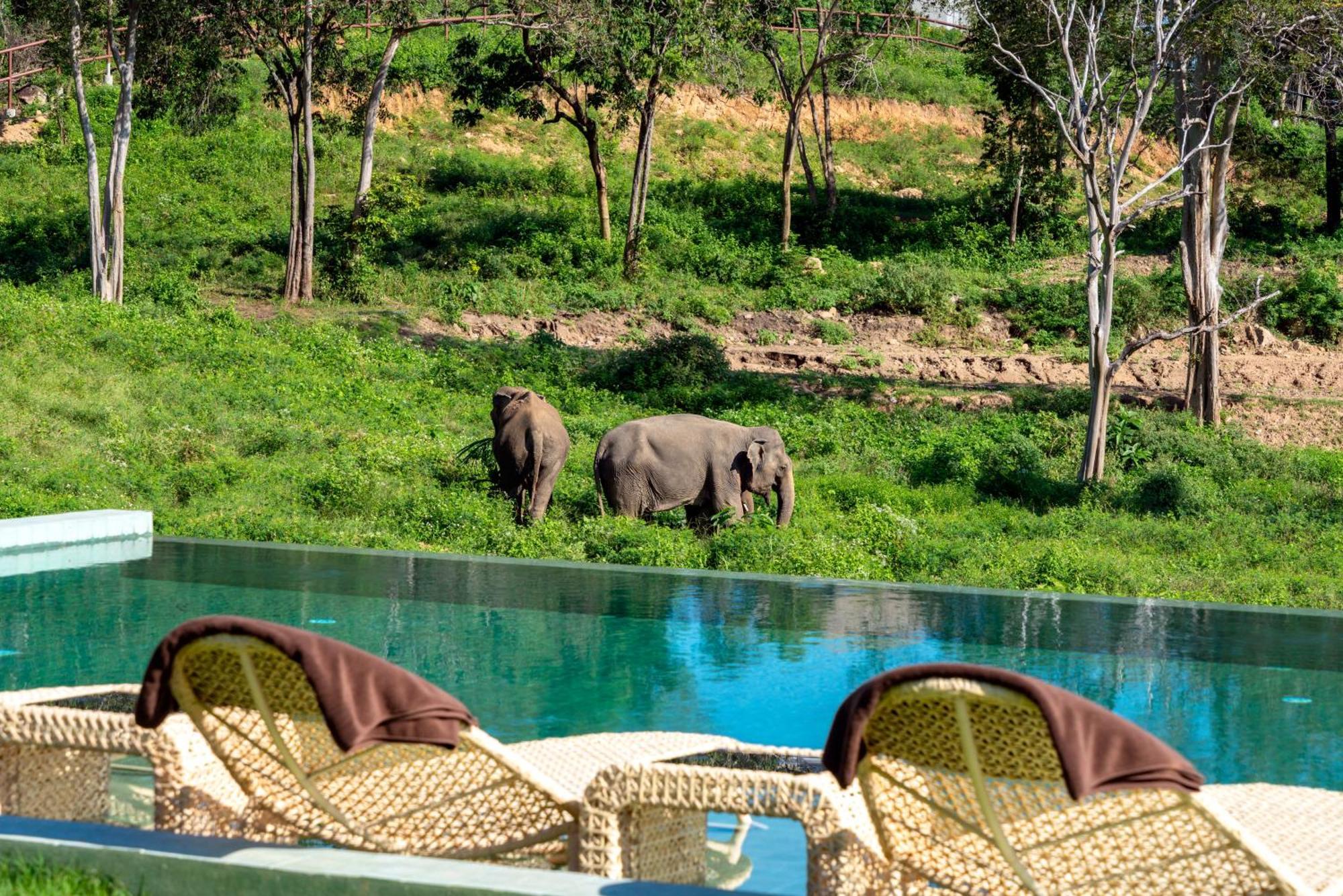 Wild Cottages Elephant Sanctuary Resort Amphoe Koksamui Exteriör bild