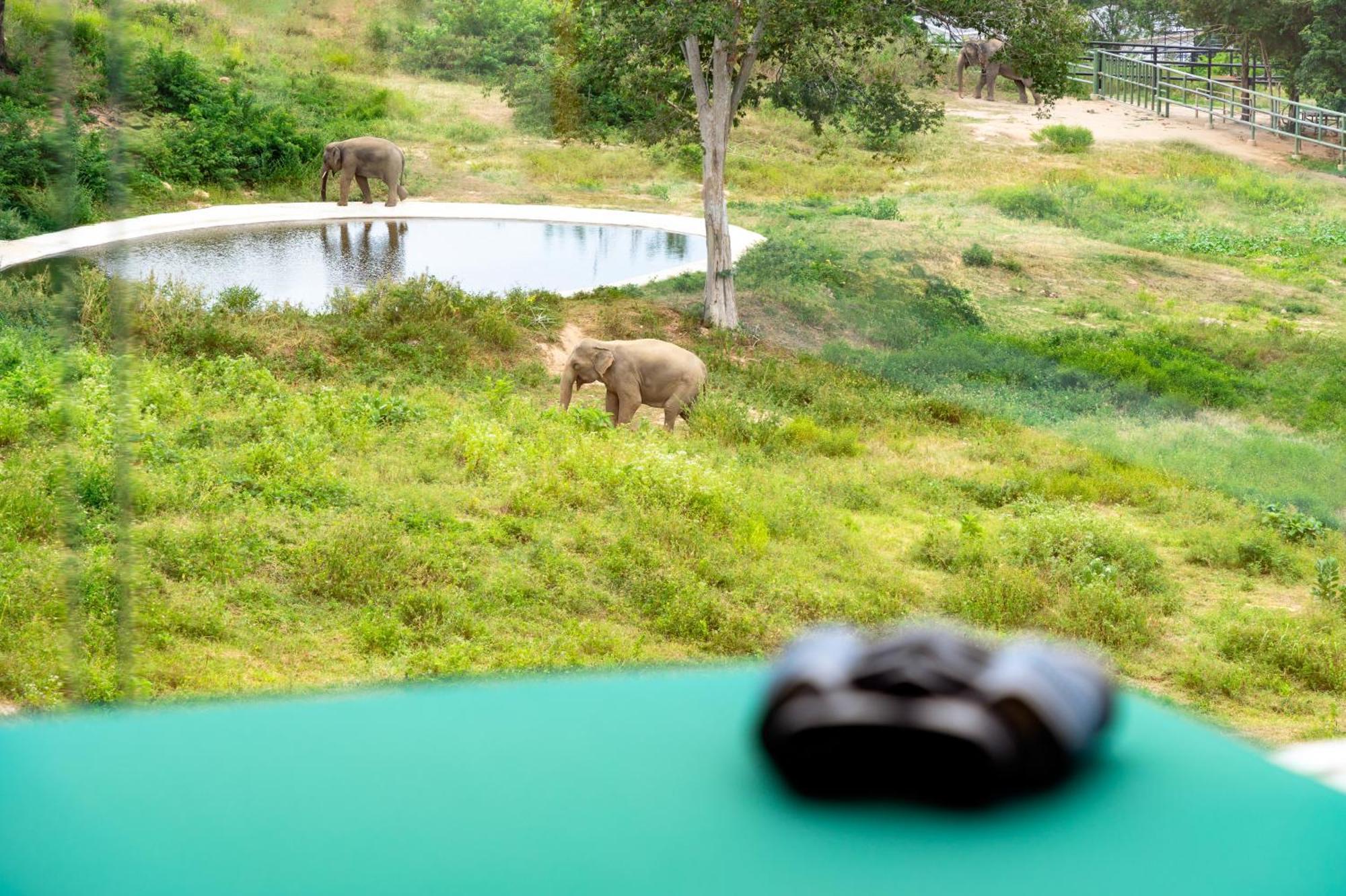 Wild Cottages Elephant Sanctuary Resort Amphoe Koksamui Exteriör bild