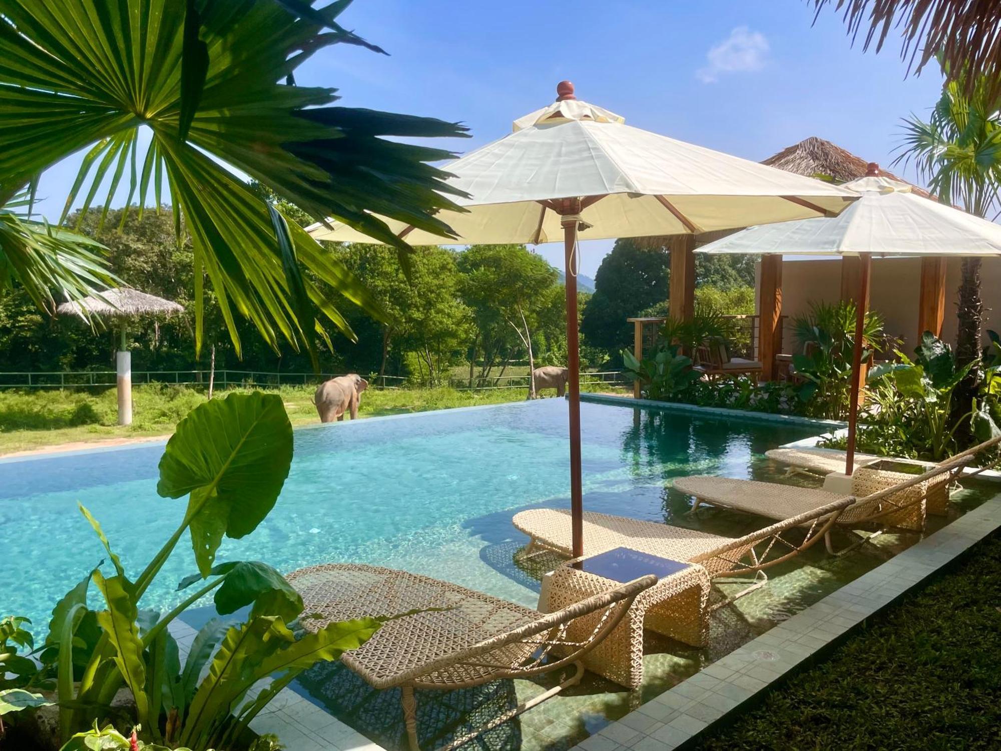 Wild Cottages Elephant Sanctuary Resort Amphoe Koksamui Exteriör bild