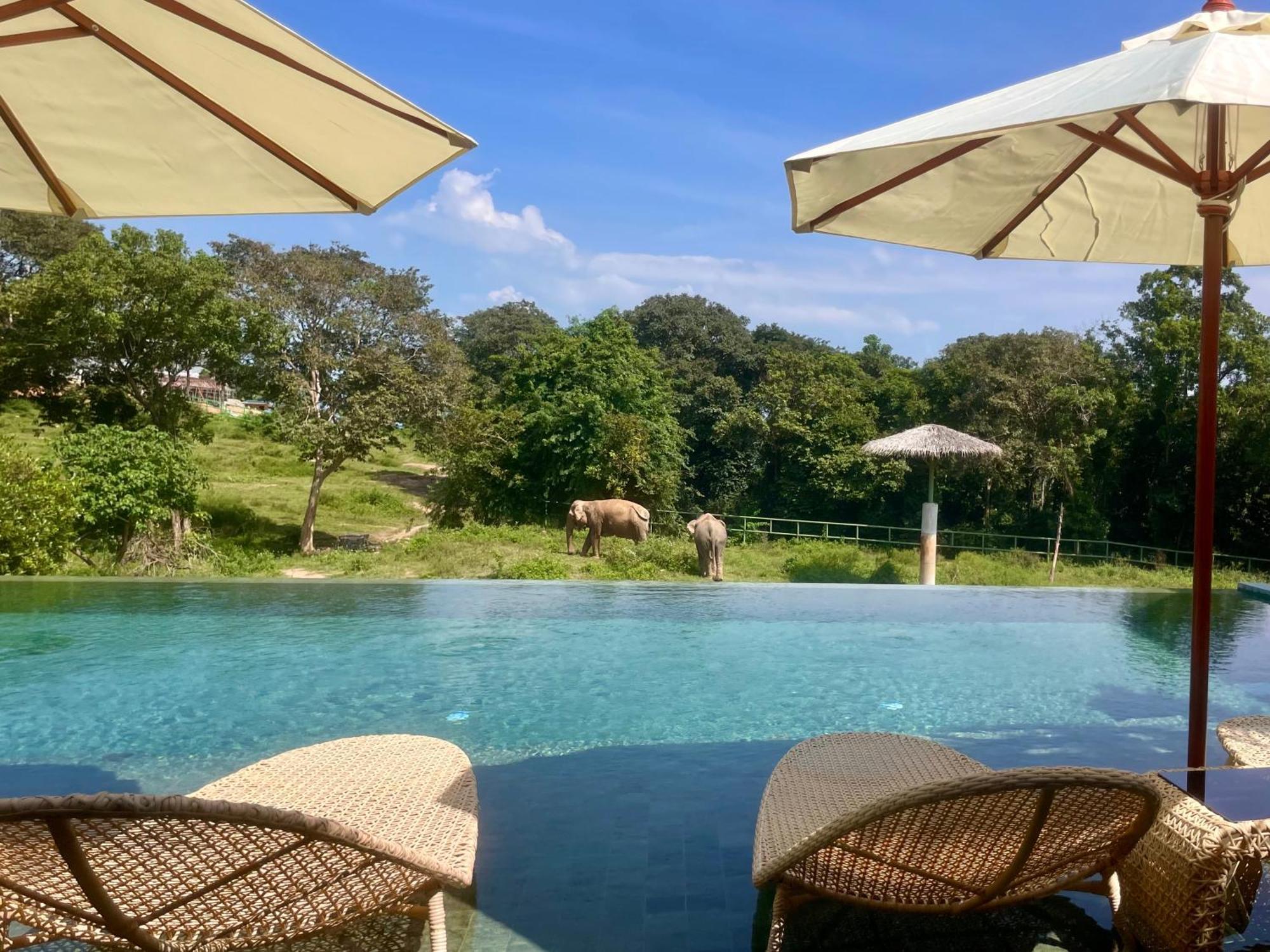 Wild Cottages Elephant Sanctuary Resort Amphoe Koksamui Exteriör bild