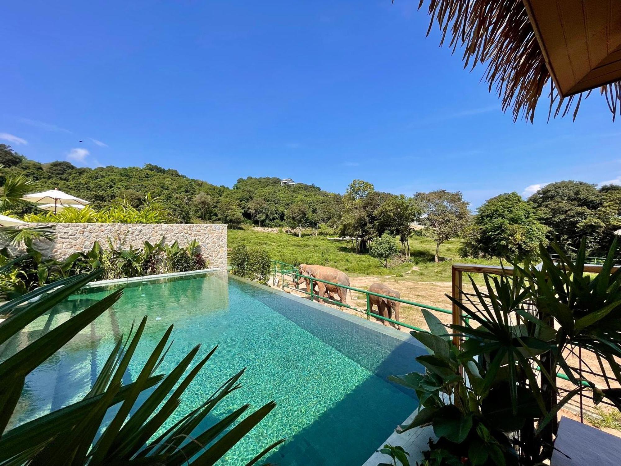 Wild Cottages Elephant Sanctuary Resort Amphoe Koksamui Exteriör bild