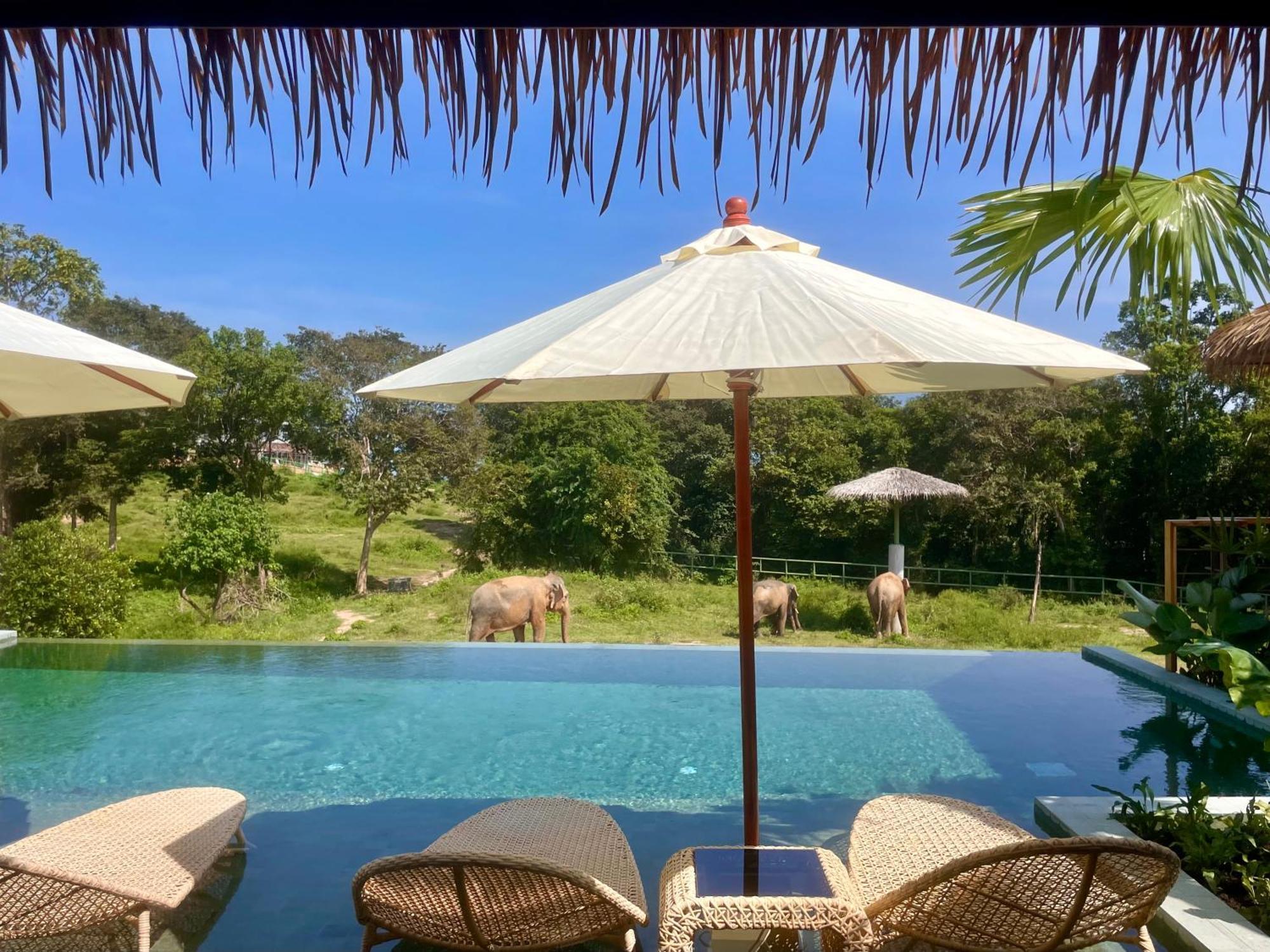 Wild Cottages Elephant Sanctuary Resort Amphoe Koksamui Exteriör bild